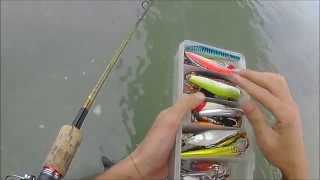 Rapala Flat Rap FLR10 for River Seabass [upl. by Anatollo]