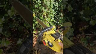 SKILSAW chainsaw [upl. by Viridi576]