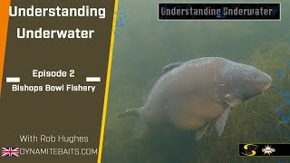 Carp Fishing Understanding Underwater 2  PVA special [upl. by Llenehs788]