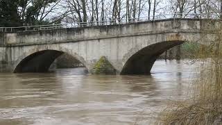 Hochwasser 2023 in SchulenburgLeine [upl. by Ibmab270]