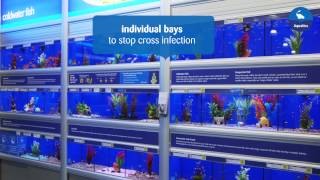 Making our pets at home  Aquatics [upl. by Auoy]