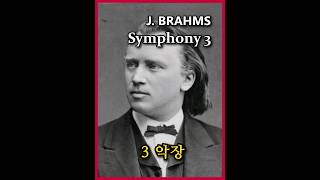 브람스 애절함이 가슴을 파고들다  Brahms Symphony No3 3rd Mov [upl. by Andros]