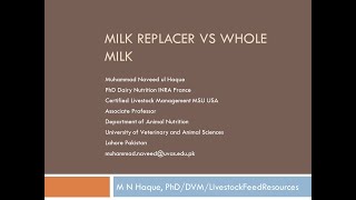 Milk Replacer vs whole milk for feeding of dairy calf [upl. by Ecraep83]