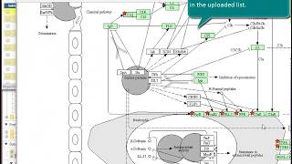 Enrichment Analysis [upl. by Icnarf]