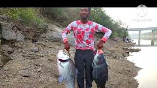 katla fishing  big fish  fishing video  fishing hunting  fishing food [upl. by Narok954]