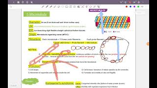 Cytoskeleton هستولوجي [upl. by Nirag530]