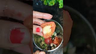 🌿🍅✨ Hari Dhaniya Tamatar Adrak Lahsun Ki Chatni ✨🍅🌿🌶️🍲🥄 IndianChutney garlicchutney [upl. by Leuqim]