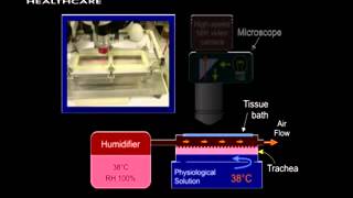 Recording Video of Mucus Transport [upl. by Ahsikym797]