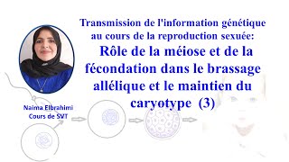 SVTBacBiof Transmission de linformation génétiquebrassage interchromosomique intrachromosomique [upl. by Namor]