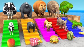 Cow Elephant Lion Gorilla TRex Choose the RIGHT Animal ESCAPE ROOM CHALLENGE Animal Cage Game [upl. by Agustin]