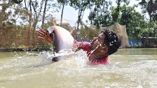 Catch a Lot of Fish With Cast Net  Net Fishing in Pond [upl. by Alten]