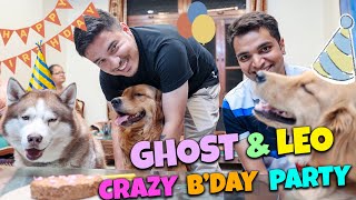 Ghost and Leo ki crazy Bday party 🥳🙈🎉 SUPER CRAZY VLOG 🤪🥳 Wuhooooo THEHIMALAYANHUSKY [upl. by Devol]