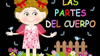 LAS PARTES DEL CUERPO HUMANO EN ESPAÑOL  VIDEO PARA NIÑOS  BODY PARTS IN SPANISH FOR CHILDRENS [upl. by Attemaj30]