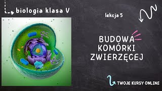 Biologia klasa 5 Lekcja 5  Budowa komórki zwierzęcej [upl. by Adroj]