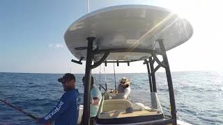 Giant Amber Jack fishing Texas Gulf Coast [upl. by Inohs]