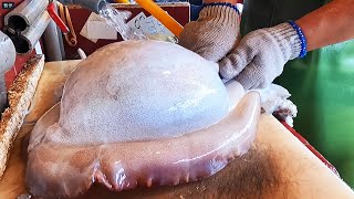 Cutting cuttlefish alive to sashimi in 3 minutes  Taiwan seafood market [upl. by Tab]