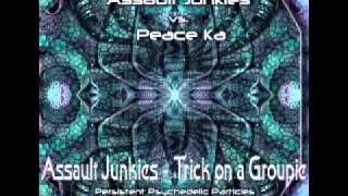 Assault Junkies  Trick On a Groupie [upl. by Rizzo]