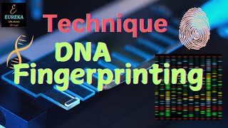 DNA fingerprinting Technique  Methods in biology  Molecular basis of inheritance  Eureka [upl. by Datnow626]