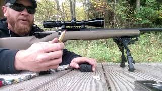 Review 450 Bushmaster testing Hodgdon Lil gun and the Hornady 200gr FTX [upl. by Atsev]