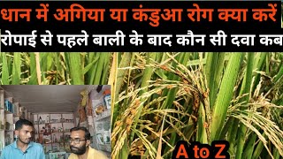 धान में अगिया रोग या कंडुआ रोग से निजात 🤑🤔  रोपाई से पहले रोपाई के बाद  Paddy Seeds Rreatment [upl. by Azrim]