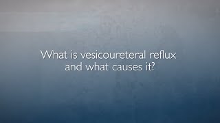 Vesicoureteral Reflux VUR  FAQ with Dr Heather Di Carlo [upl. by Yojal]