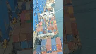 CONTAINER SHIP  Quay crane container ship loading shorts ytshorts [upl. by Walworth889]