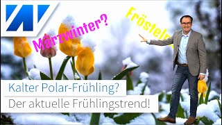 Extreme Prognose PolarFrühling mit Märzwinter möglich Winter mit langem Atem DürreFrühjahr 2021 [upl. by Cally]