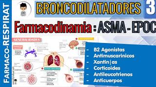 B2 AGONISTAS AntiMUSCARINICOS CORTICOIDES XANTINAS ANTILEUCOTRIENOS Farmacodinamiacinetica 3 [upl. by Turtle]