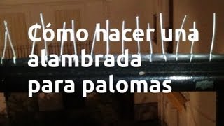 Cómo hacer una alambrada para palomas [upl. by Farant]