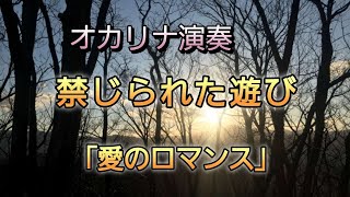 オカリナで 禁じられた遊び 「愛のロマンス」 [upl. by Ima]