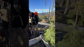 Big buck down baby Mule deer hunting at its finest muledeer bigbucks whitetailbuck gun 308 [upl. by Thomajan164]