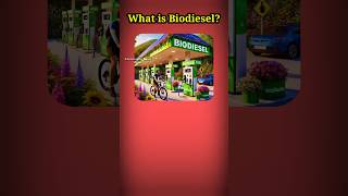 What is Biodiesel [upl. by Esmerolda49]