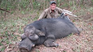 Hunting Africas Giant Forest Hog With A Handgun [upl. by Angelia978]