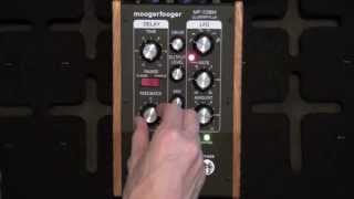 Moog Moogerfooger MF108M Cluster Flux Review  BestGuitarEffectscom [upl. by Jennee930]