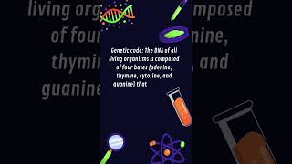 GeneticCode DNA adenine thymine cytosine and guanine shorts [upl. by Aneliram]