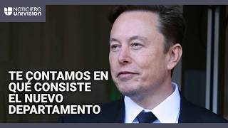 ¿Qué esperar de Elon Musk en el Departamento de Eficiencia Gubernamental Un experto analiza [upl. by Siravat]