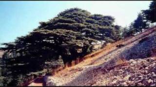 Jnoub lubnan South Lebanon Song جنوب لبنان [upl. by Ekusuy]