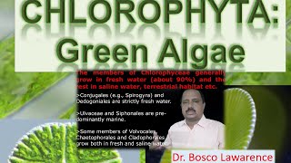 General characters of Chlorophyceae [upl. by Otho647]