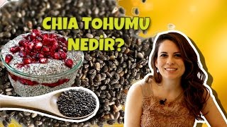 Chia Tohumu Nedir  Nasıl Tüketilir [upl. by Lilhak]