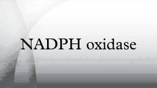 NADPH oxidase [upl. by Strawn951]