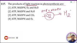 The products of light reaction in photosynthesis are 1 ATP NADPH and 2 ATP NADPH [upl. by Aeki120]