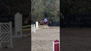 eckermann ￼showjump jumper showjumping preppy [upl. by Reitrac]