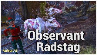 Observant Radstag Random Encounters [upl. by Idolem]