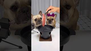 French Bulldogs Try REAL Korean Fire BBQ 🔥 shorts [upl. by Gagne]