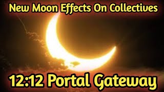 1212 Portal Gateway  New Moon Effects On Collectives ✨ Current Feelings Next Action ❤ Timeless [upl. by Arelus]