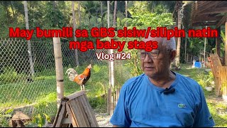 May bumili sa GBS sisiwsilipin natin mga baby stags  Vlog 24 [upl. by Midas]