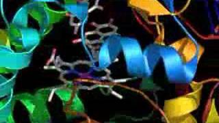 P450 Coupling Enzyme Active Site [upl. by Seroled]