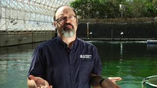 Biosphere 2 Short Documentary [upl. by Iruy186]