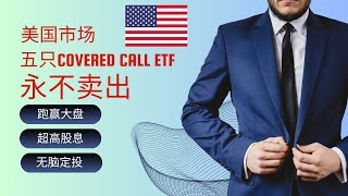 美国市场上五只Covered Call ETF永不卖出  美股投资组合  跑赢标普大盘  无脑定投  超高股息 [upl. by Panthia]