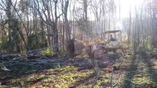 150 loader international pushin over trees [upl. by Analiese]